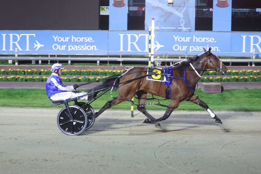 Pinseeker winning the Hector's Premium Gin Autumn Free-for-all on 14 March 2025. Photo by Race Images NZ.