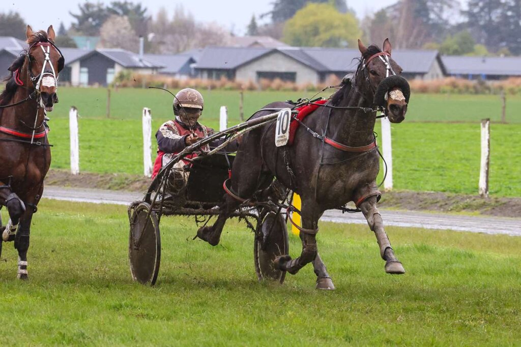 Rakero Rocket winning the Alabar Methven Cup on 5 October 2025. Photo by Race Images NZ.