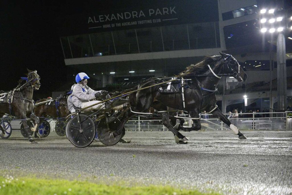 Sooner The Bettor winning the TAB-The Holmes DG Handicap Pace on 3 October 2025. Photo by Race Images NZ.