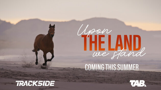 Upon The Land We Stand | Coming This Summer