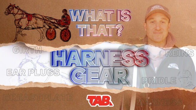What Is That? | Harness Gear