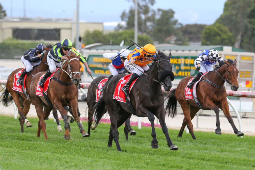 Cranbourne Tips & Preview | Wednesday 5 August
