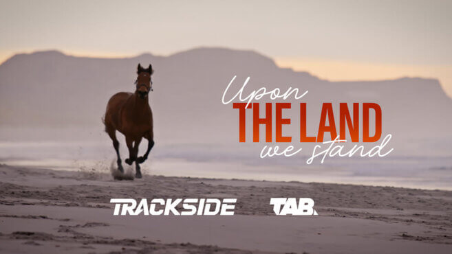 Upon The Land We Stand | Coming Soon
