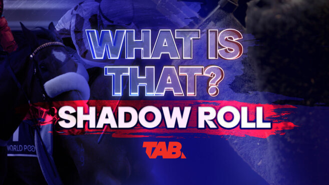 What Is That? | Shadow Roll