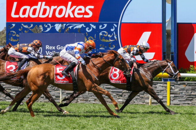 Geelong Tips & Preview | Wednesday 22 April