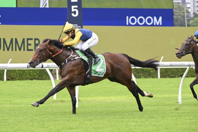 Gold Coast Tips & Preview | Saturday 17 January