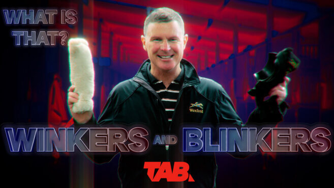 What Is That | Winkers and Blinkers