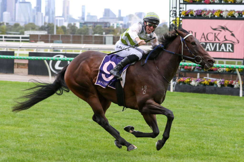 2026 TJ Smith Stakes Runners: Skybird