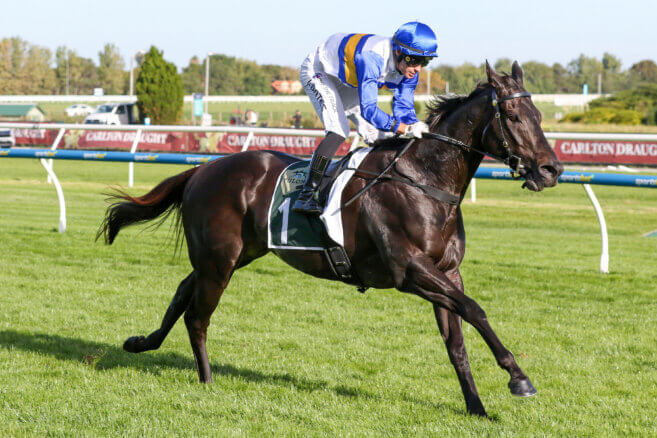 2026 The Quokka Day Tips & Preview (Ascot)