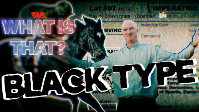 What Is That | Black Type