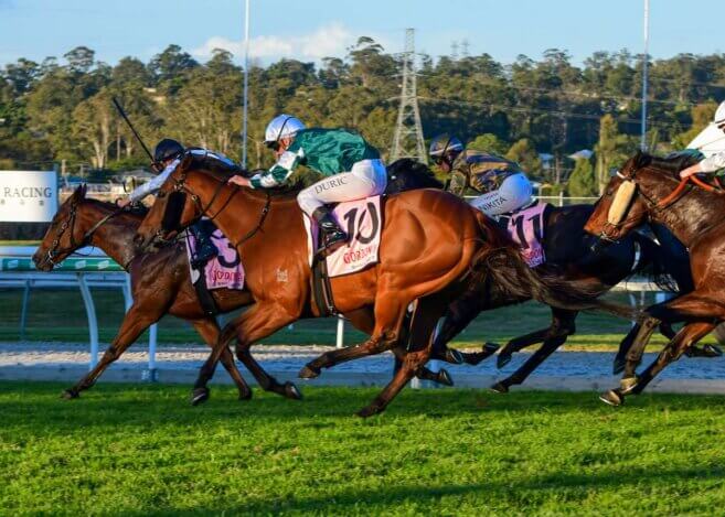 Ipswich Cup Day Tips & Preview | Saturday 20 June