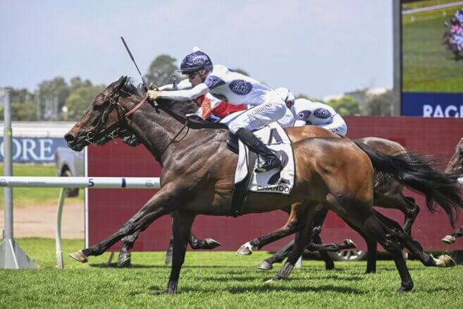 Caloundra Cup Day Tips & Preview | Saturday 4 July