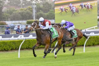 Canterbury Tips Preview