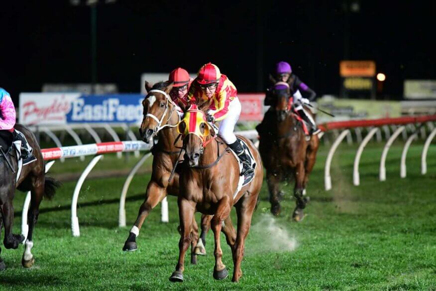 Toowoomba Tips & Preview | Saturday 26 September
